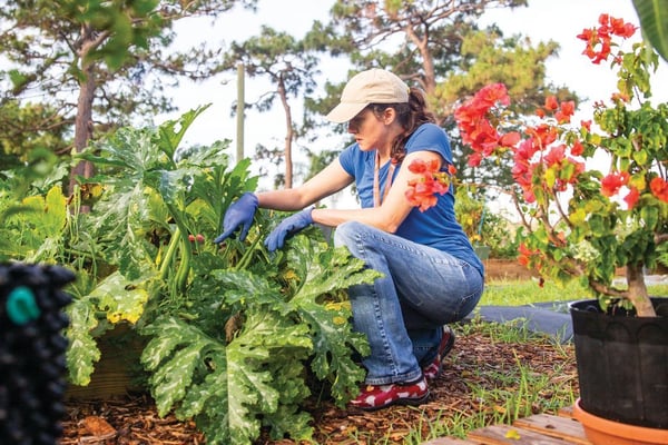 Plant Some Seeds at One of Sarasota’s Eight Community Gardens