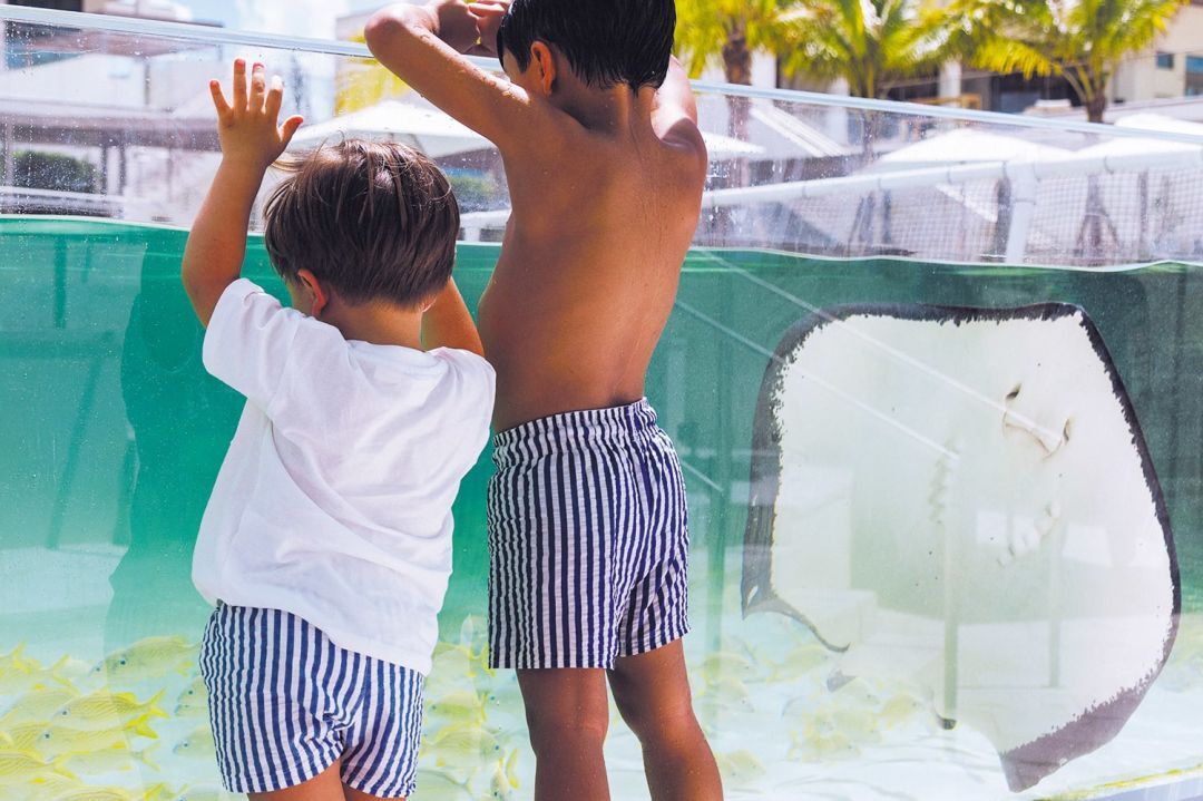 What Its Like to Swim With the Stingrays at the St. Regis Longboat Key
